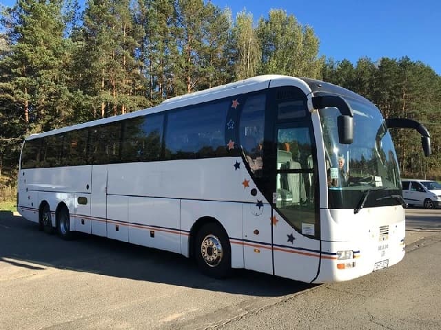 Man Lion`s Coach