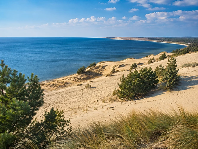 Куршская коса и песчаные дюны на побережье Балтийского моря в Литве