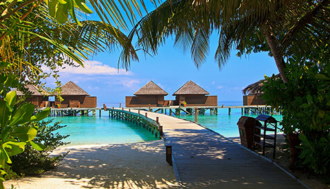 Переход на страницу подбора туров на Мальдивы Туры на Мальдивы из Минска