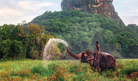 Переход на страницу подбора туров на Шри-Ланку Туры на Шри-Ланку из Минска