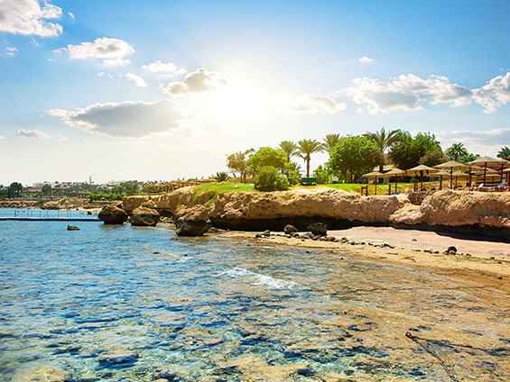 Отдых в Шарм-Эль-Шейхе из Минска Отдых в Шарм-Эль-Шейхе