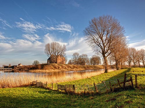 Поля в Голландии Достопримечательности в Голландии